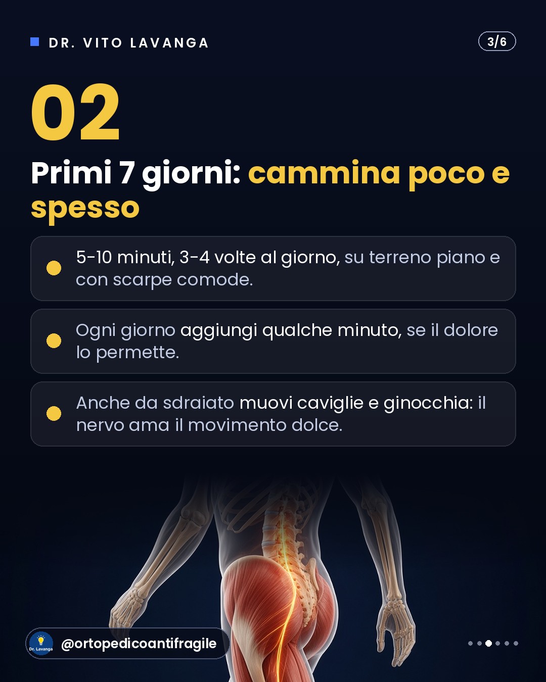 Infografica: primi 7 giorni di sciatica, cammina poco e spesso, dal carosello del Dr. Lavanga